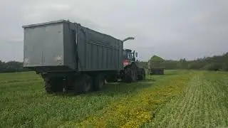 Уборка сурепицы