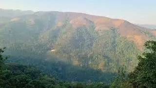 Chikkamagaluru Morning view!! 😍😍