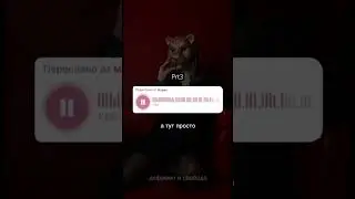 Новые ощущения