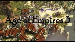 Age of Empires 3 - Как не надо играть за японцев