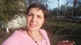 Моц араыон перезагрузка день 3й