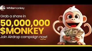 #monkey  How to Withdraw $50,000 from the Monkey Airdrop