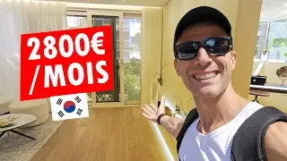 je visite mon futur appart dans le quartier français de Séoul (€€€€€€) Hohem iSteady V3