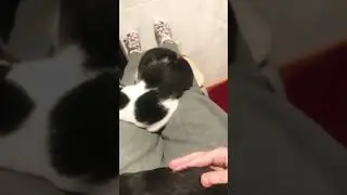 Чилим