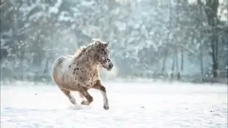 Bildbearbeitung und Retusche von Tiggy
