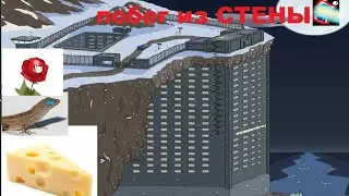 Побег из стены