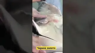 Черное золото