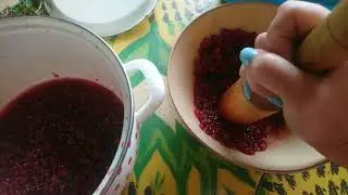 Купаемся, заготавливаем ягоду.