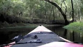 lily springs   paddle up