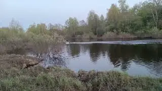 Тест мотора Lifan 8л.с. лодка HDX boats 320.