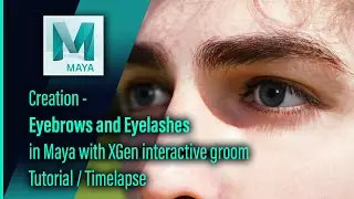 Eyebrows and Eyelashes in Maya with XGen interactive groom