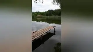 Саприно Подгоренский район Воронежская область
