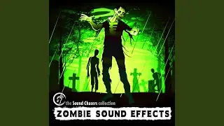 Cartoon Growl with Echo Zombie Sound Effect
