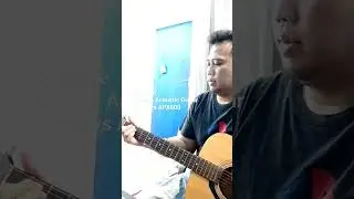 Compare Yamaha Acoustic guitar FX310 vs APX600