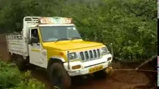 Journey in Forest