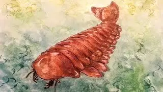 Sanctacaris | Cangrejo Santo | PaleoPedias 🇨🇦🎃