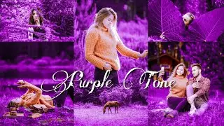 Lightroom Mobile Presets Free Dng | Purple Colour Correction Photo Editing | Purple Tone Preset