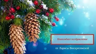 Поздравление с Новым годом от Ларисы Воскресенской