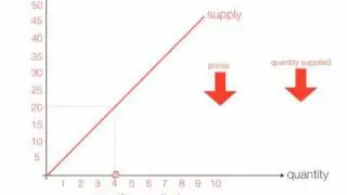 Understanding the difference between changes in quantity and changes in supply and demand.