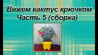 Вяжем кактус крючком (часть 5)