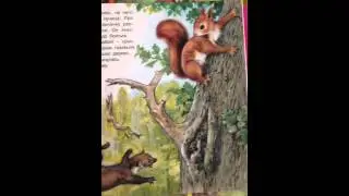 Приключения бельчонка