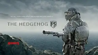 Toss a First Strike - Hidden Hedgehog Cover  (Toss a coin to your Witcher)