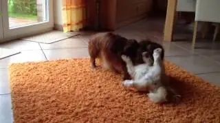 Max & Skipper II