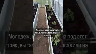 19 мая 2024 г.