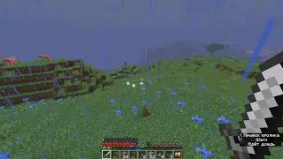 Minecraft Survival