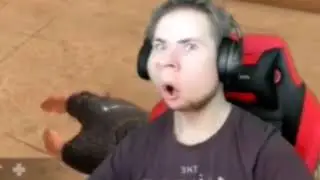 Я нашёл портал братва