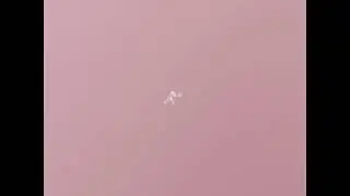 Sordid Pink - opaa!