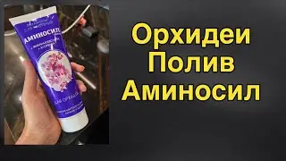 🔴 Прямой эфир: рост, здоровье, цветение орхидей!