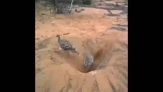 هذا اللي ماودك يساعدك