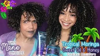 The Mane Choice | Tropical Moringa Sweet Oil & Honey Endless Moisture