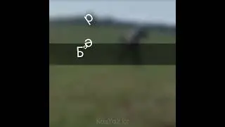 Фразы на казахском: ВСЕ В ПОРЯДКЕ