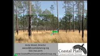 Update on the Wood Pellet Industry