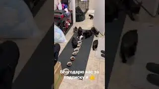 Мелочь вышла на обед 