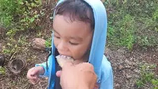 pasyal sa bukid , kain ng buko at cimito