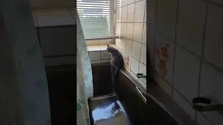 Что делать, если сосед не впускает в ванную