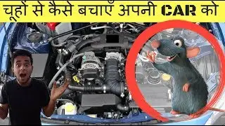 Protect your CAR from RATS: Easy steps |चूहों से कैसे बचाएँ अपनी CAR को