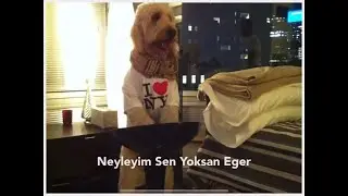 Neyleyim Sen Yoksan Eger