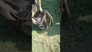 Рыбалка в Пензенской области, пруд 