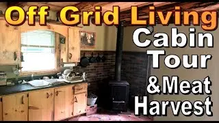 OFF GRID SUSTAINABLE LIVING.  Cabin Tour And Meat Harvesting. Wilderness Living Vlog 162
