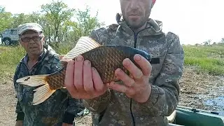 THIS LAKE IS THRILLED WITH MONSTERS! CRUCIAN CARP AND WILD BOAR! OVERNIGHT FISHING TRIP ON LAKE T...