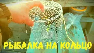 рыбалка на кольцо река ВЫЧЕГДА