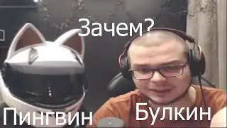 БУЛКИН ПУГАЕТ ПИНГВИНА 2 МИНУТЫ!!!