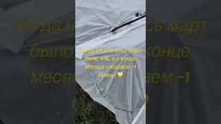 Сегодня 30.03.2023г. урываем пионы, очень теплая была зима, весь март в среднем +10 , а завтра -1
