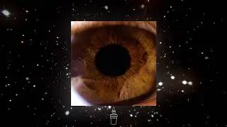 НЕДРЫ - ВЫХОД СИЛЫ (Весь Альбом + Timecodes)