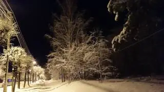 Зимовье зверей Конец цитаты