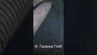 Чистка жириков в Санкт-Петербурге 